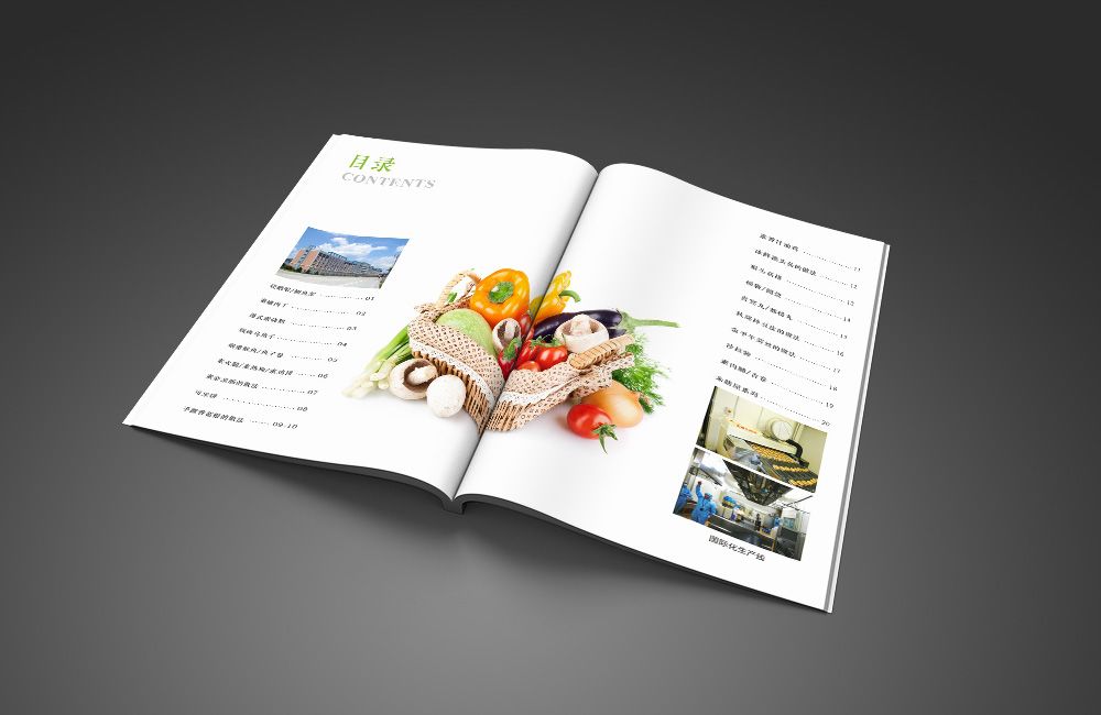 素食菜單菜譜畫冊設計