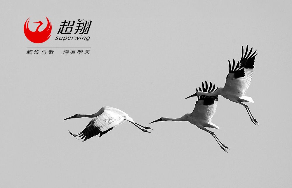 超翔商貿(mào)標志設計